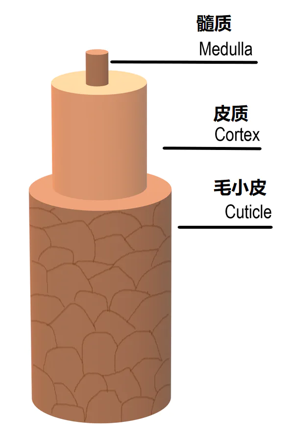 乳腺癌、肝炎、卵巢癌……这么多锅染发背不背?-图片3