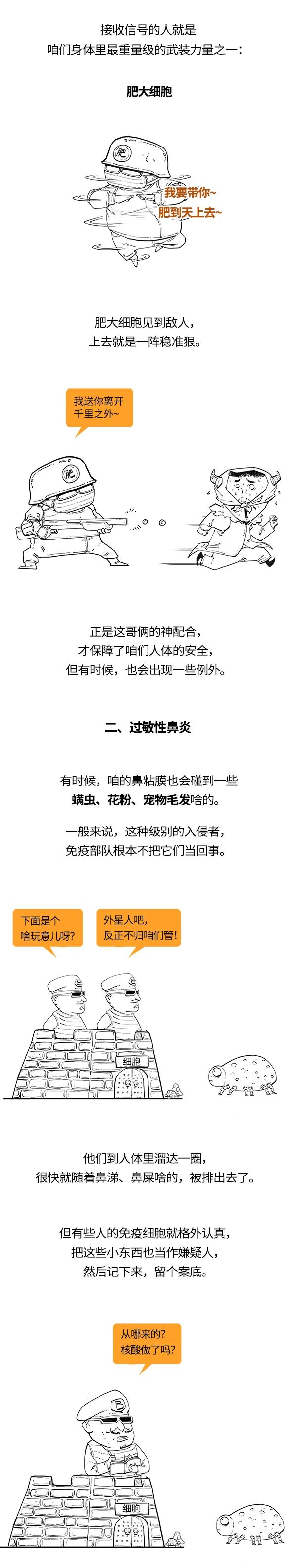 好好的鼻子，为啥一到秋天就作妖？-图片2