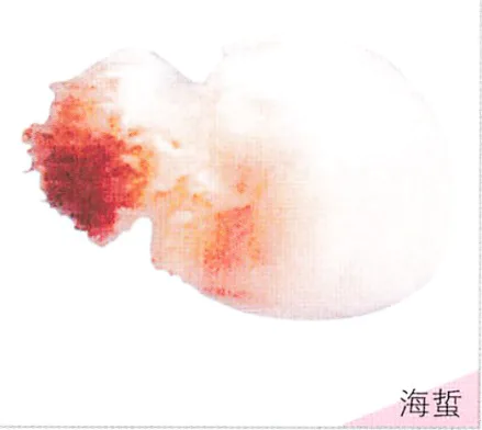 海蜇软萌还好吃?被它蜇伤可就惨了,严重可致命!-图片1
