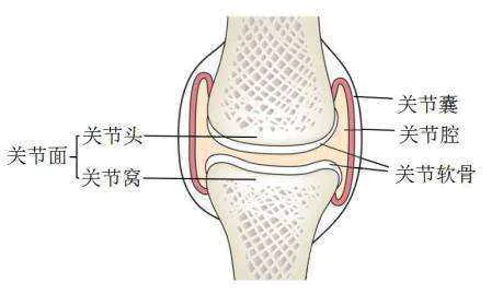 骨头总是“咔咔”响,到底需不需要治疗?-图片1