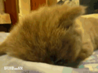 熬夜看球,午觉怎么睡?华西医生:千万别超过这个时间,否则……-图片3