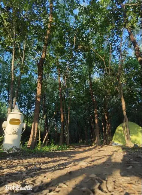 北京露营地点推荐(北京7家宝藏级露营野炊小众地)-图片3