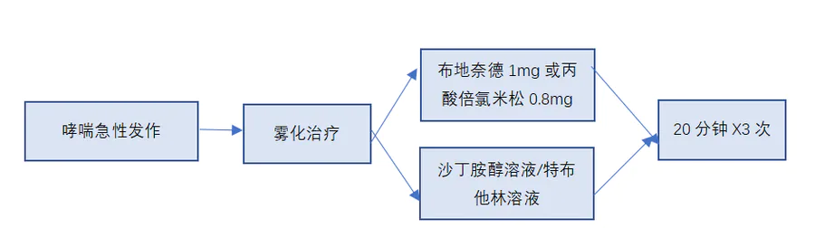 新冠疫情流行期间,哮喘儿童急性发作应该怎么做?-图片3