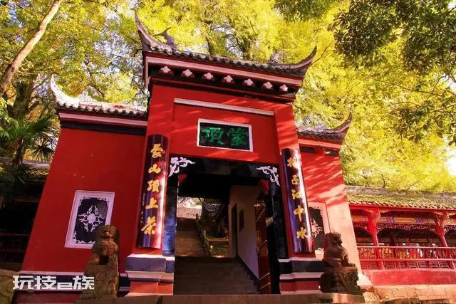成都周边一日游的最佳地方在哪里(成都最美银杏观赏地)-图片3