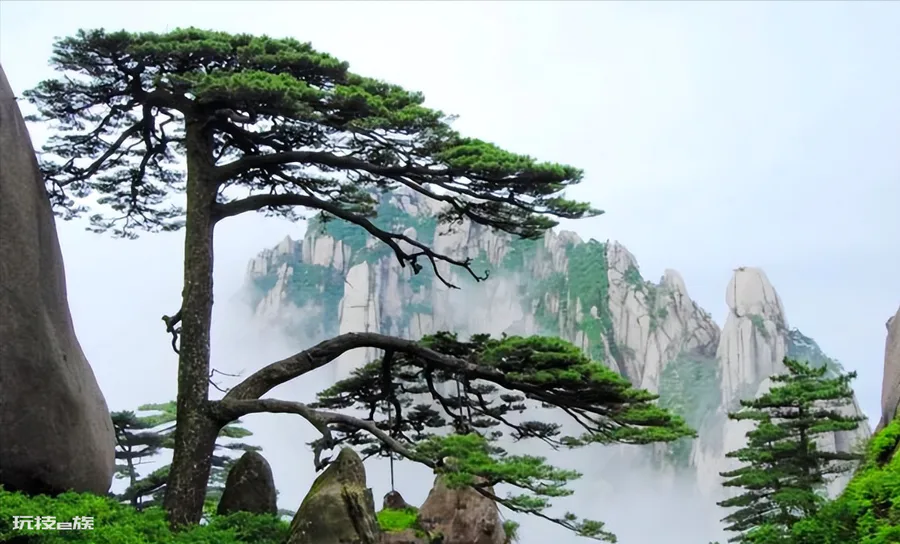 黄山一日游最佳路线(盘点黄山值得去的旅游景点线路攻略)-图片3