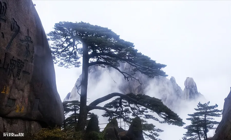 黄山一日游最佳路线(盘点黄山值得去的旅游景点线路攻略)-图片4
