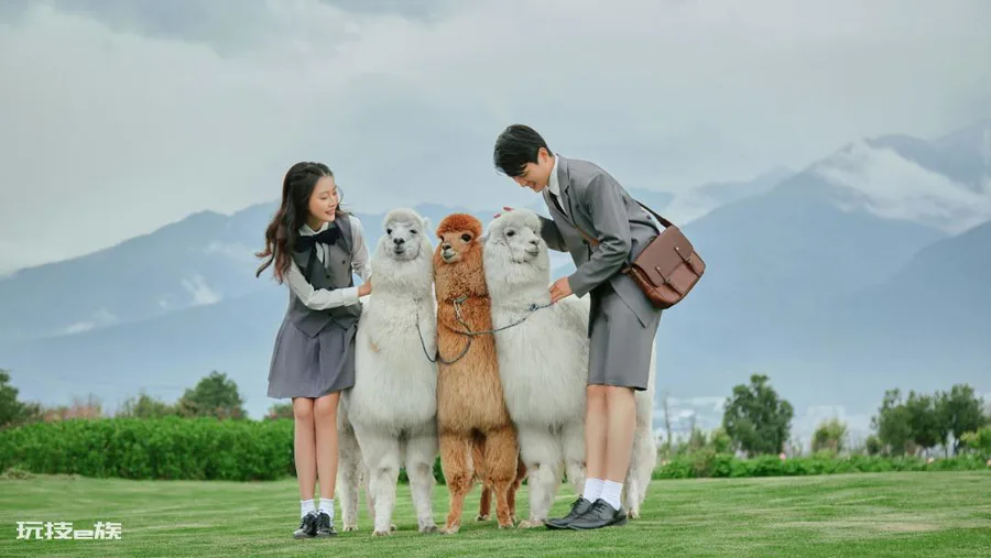 旅行结婚需要注意什么(超实用的新人旅行结婚攻略)-图片1