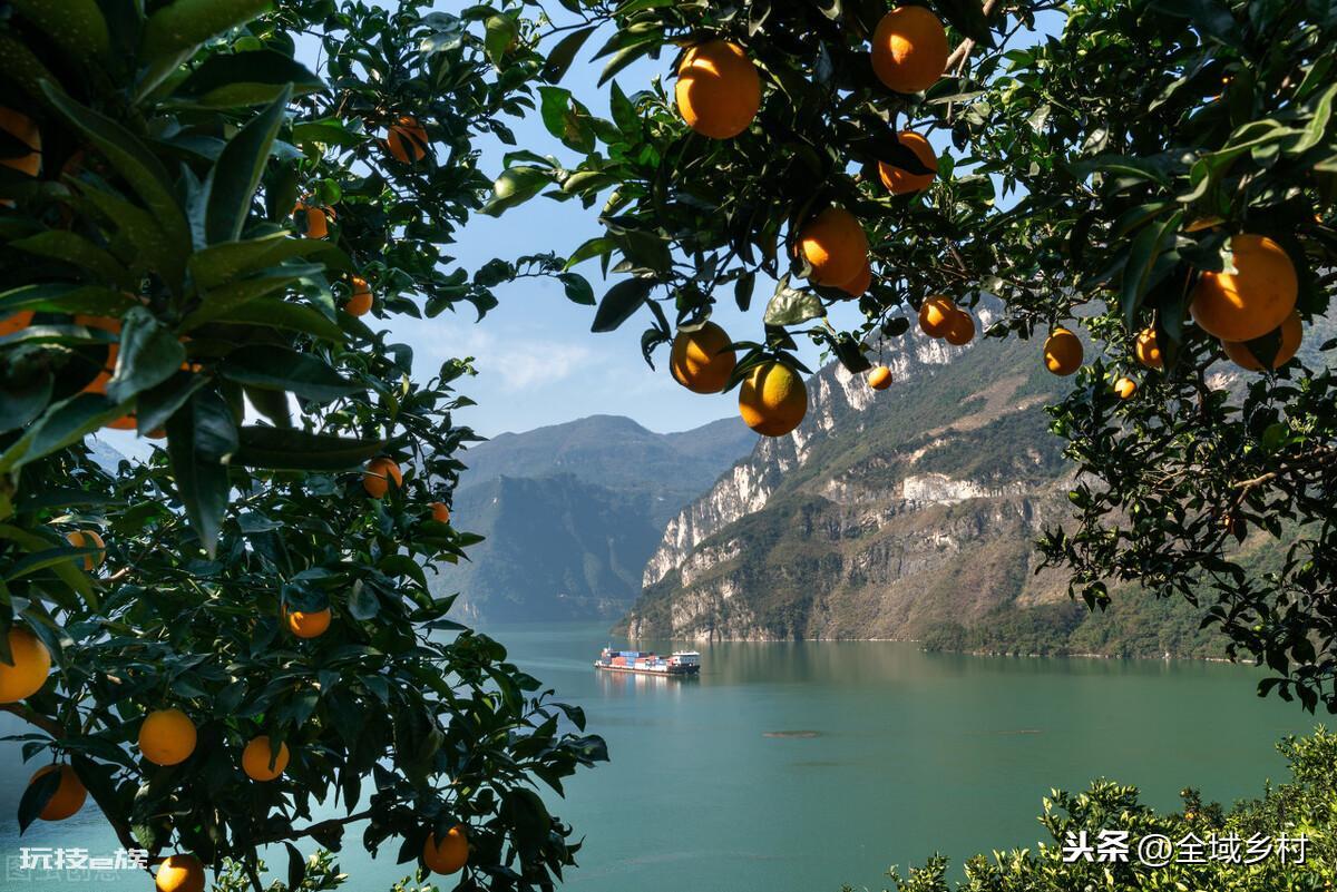 长江三峡是哪三峡的总称（依次为瞿塘峡、巫峡和西陵峡）-图片9