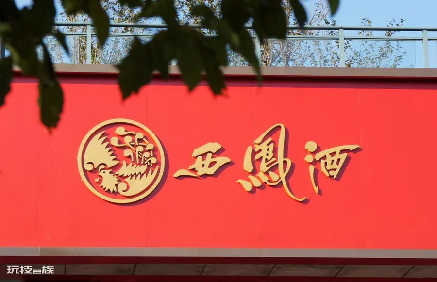 陕西名酒有哪些(盘点本地人都在喝的三大陕西名酒)-图片3