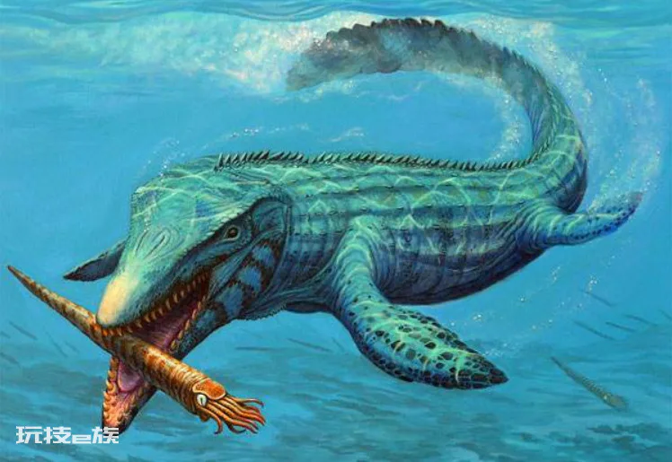 沧龙有多大体型(海洋霸主霍夫曼沧龙是怎么进化来的)-图片2