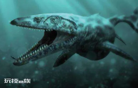 沧龙有多大体型(海洋霸主霍夫曼沧龙是怎么进化来的)-图片8