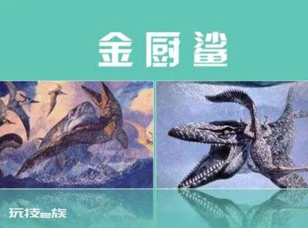 沧龙有多大体型(海洋霸主霍夫曼沧龙是怎么进化来的)-图片9