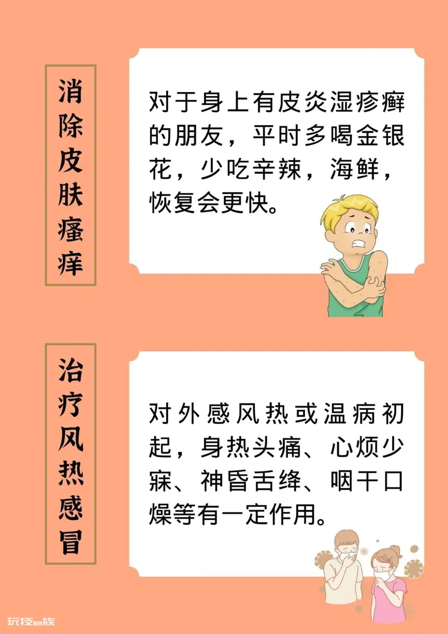 用这11种常见的食材泡水喝,有益身体-图片2