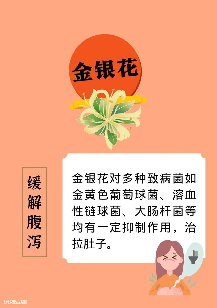 用这11种常见的食材泡水喝,有益身体-图片2