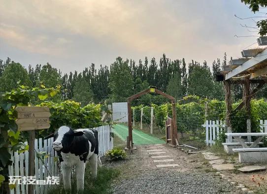 北京露营地点推荐(北京7家宝藏级露营野炊小众地)-图片21