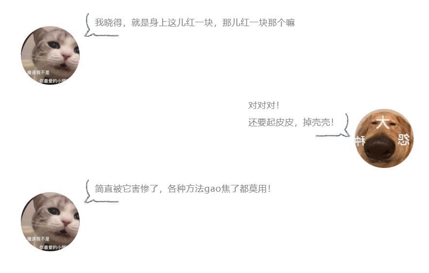头上起皮、掉壳壳,以为是头皮屑?华西医生喊你当心这种冬季高发皮肤病!-图片2