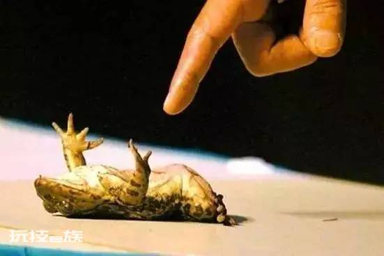瞬间催眠术_狐狸犬瞬间催眠11人_冷读术——瞬间赢得他人信任的终极社交技巧