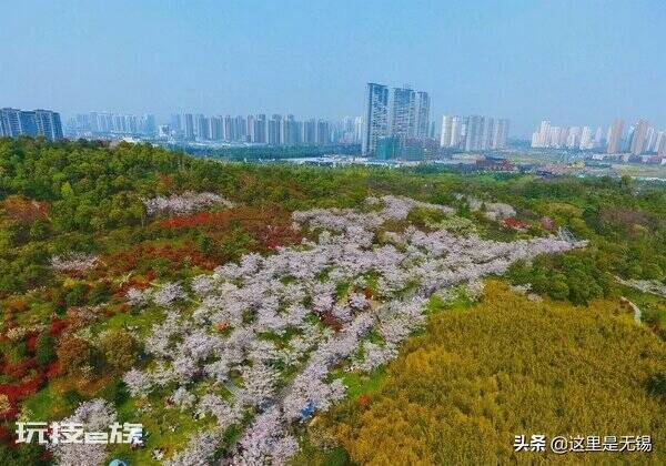 无锡哪些景点不要门票(无锡几个免费又值得一玩的良心景点)-图片6