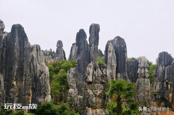 八十岁老人可以去哪里旅游(适合80岁老人旅游的地方)-图片10