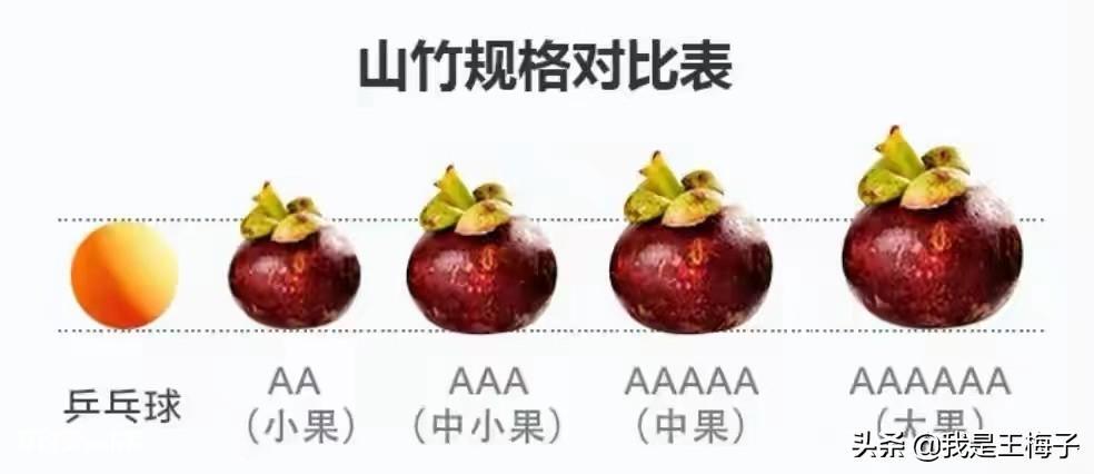山竹2a3a4a5a区别（山竹是如何划分等级的）-图片2