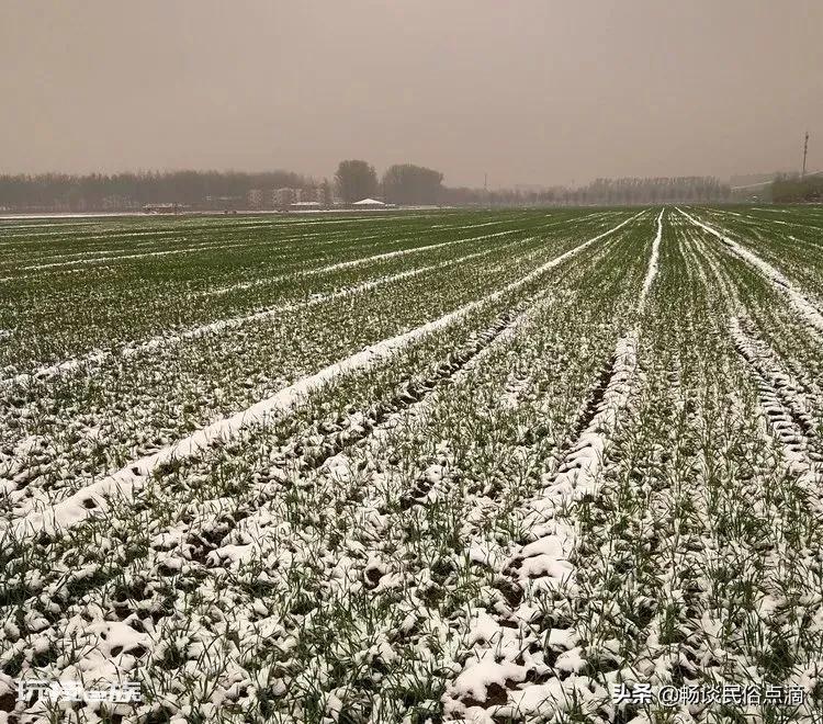 春天下雪好吗（立春时节还大雪纷纷究竟是好还是坏）-图片2