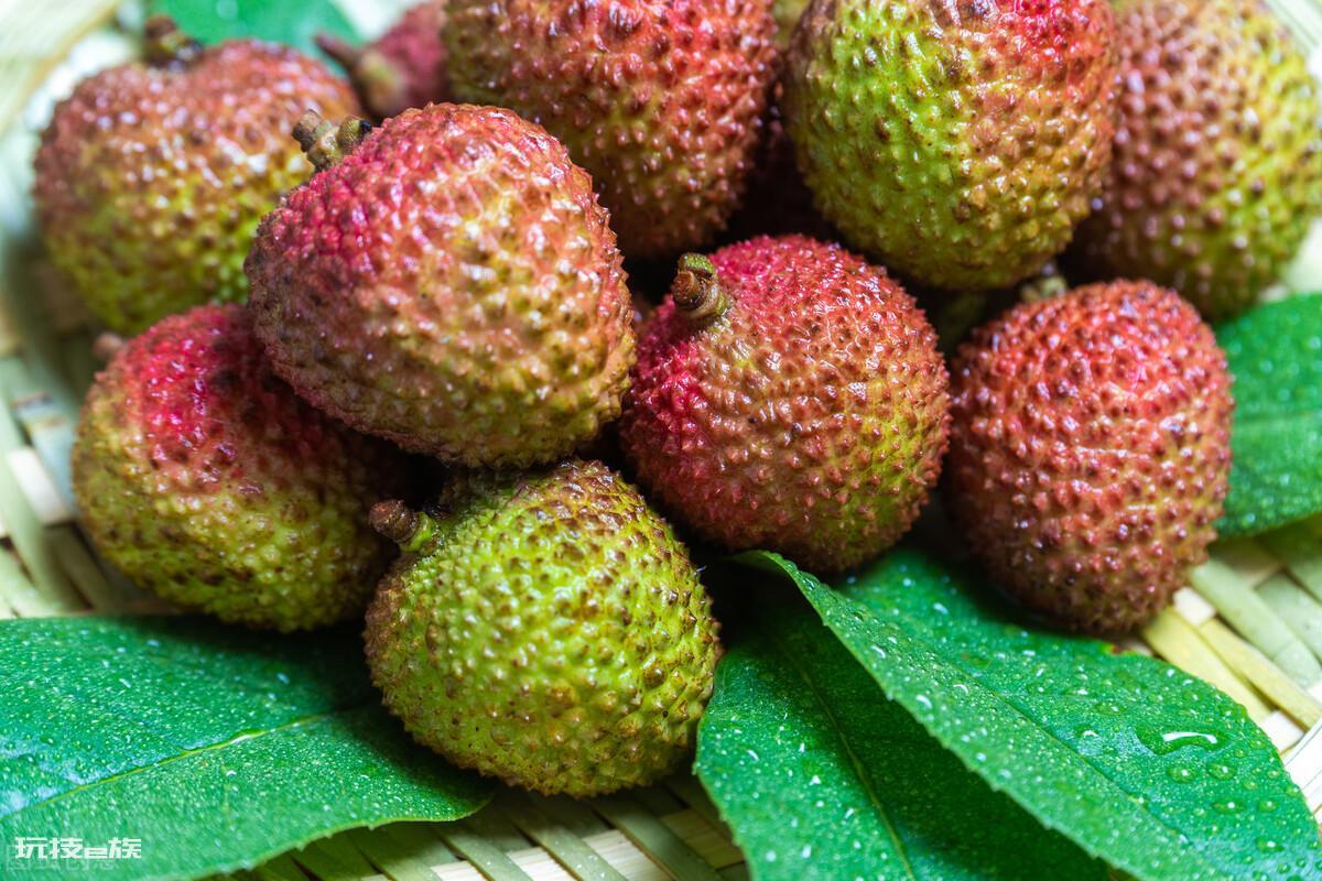 哪种荔枝品种最好吃(好吃香甜的5个荔枝品种推荐)-图片3