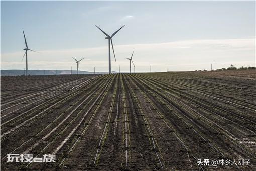 农业设施用地建厂房算违建吗（设施农业用地最新政策）-图片3