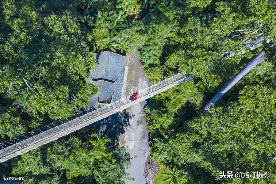 中国养肺最好地方在哪里(我国最美的6处天然氧吧,)-图片11