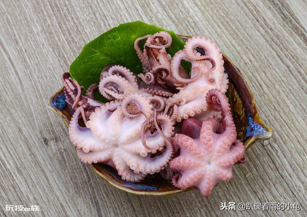 乌贼就是章鱼吗（章鱼、乌贼，鱿鱼、有什么不一样）-图片6