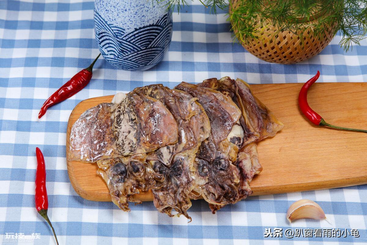 乌贼就是章鱼吗（章鱼、乌贼，鱿鱼、有什么不一样）-图片11