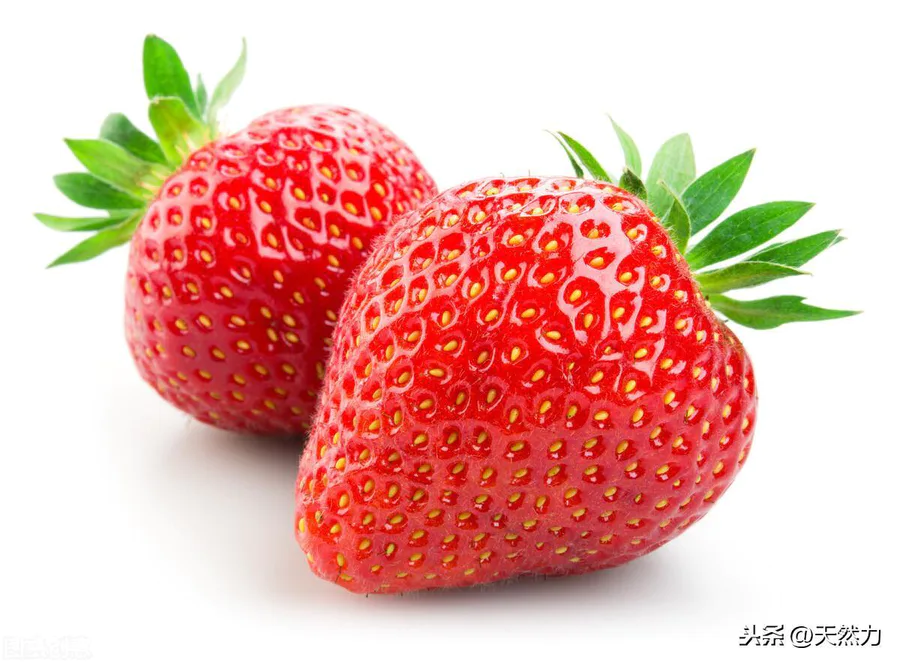 哪种草莓最甜最好吃还容易种植(目前什么草莓品种好)-图片2