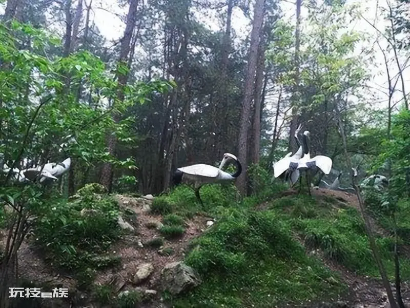 缙云有什么好玩的景点介绍(缙云旅游必去的景点攻略推荐)-图片4