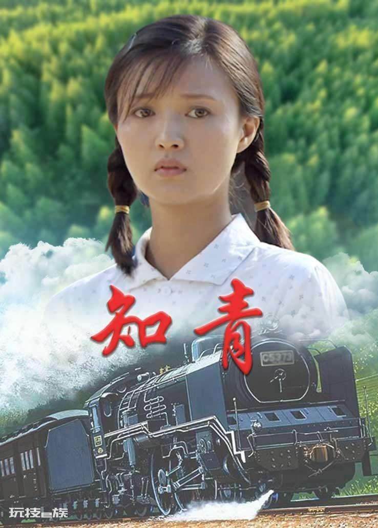 有关下乡知青的电视剧(10部经典上山下乡知青影视剧)-图片1