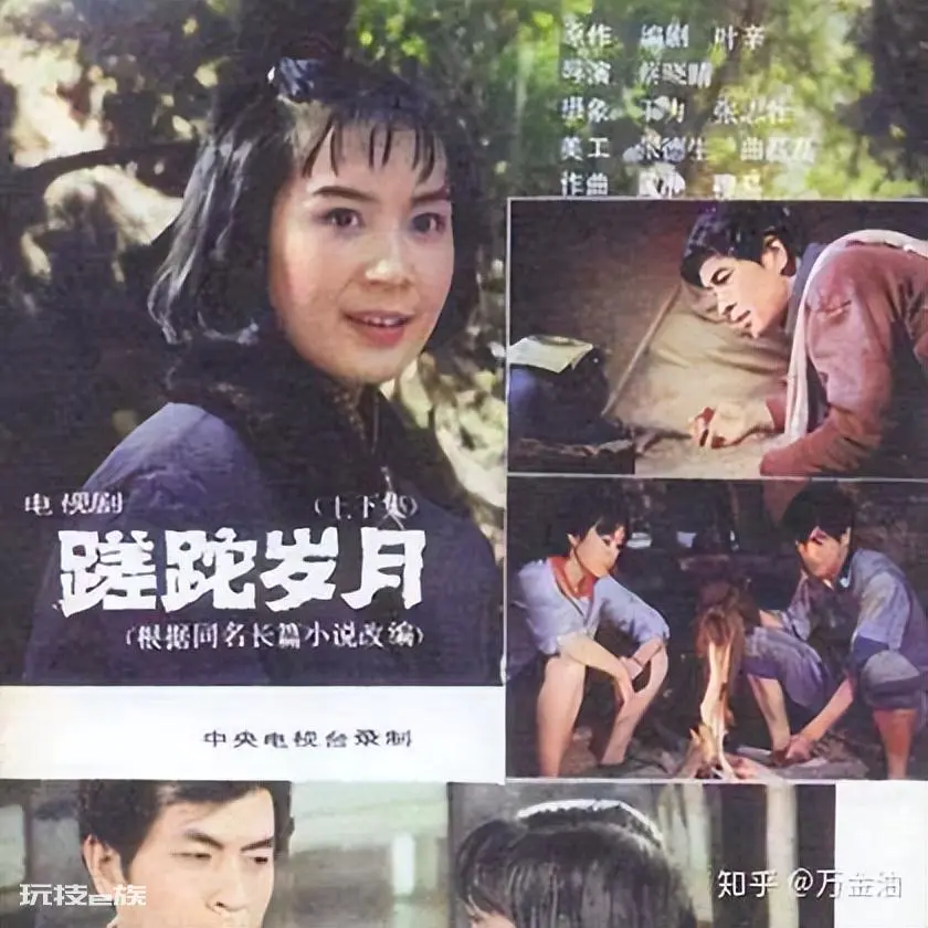 有关下乡知青的电视剧(10部经典上山下乡知青影视剧)-图片3