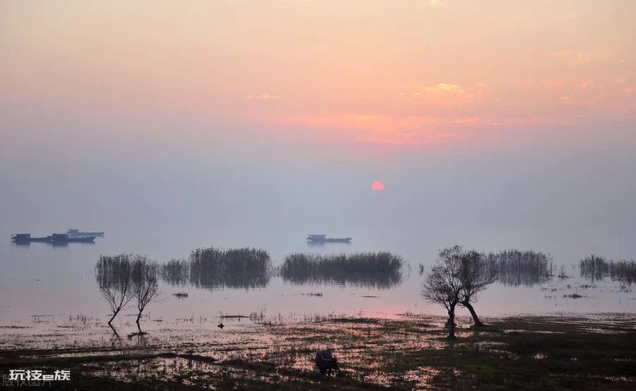 淡水湖排名中国(国内最大的五大淡水湖排名简介)-图片6
