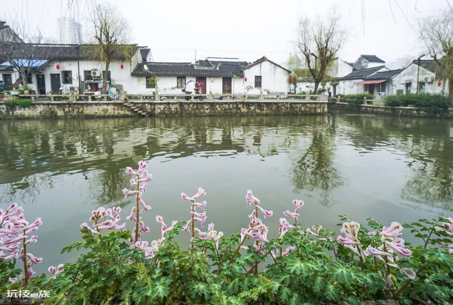 常熟属于哪个省哪个市(常熟市是江苏省苏州的下辖县级市)-图片1