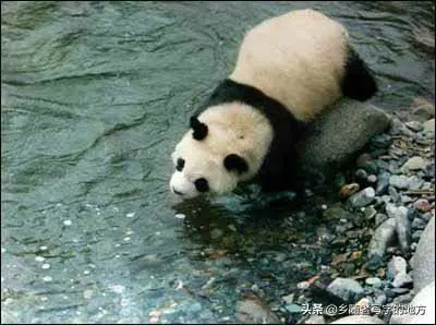 甘肃属于西北地区吗(中国地理最为神奇的一个省份)-图片9