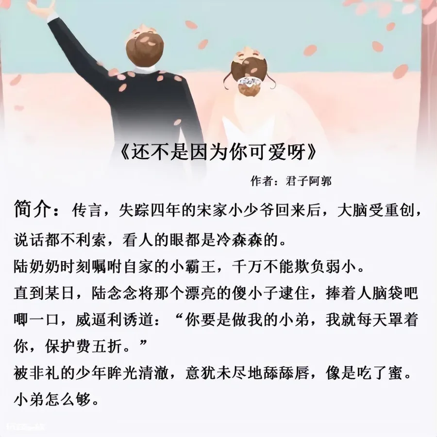 高质量现代言情小说(推荐五本高质量的现代小甜文完结)-图片5