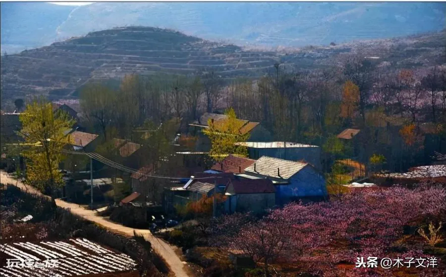 蒙阴县是哪个省哪个市(蒙阴县隶属于山东省临沂市)-图片6