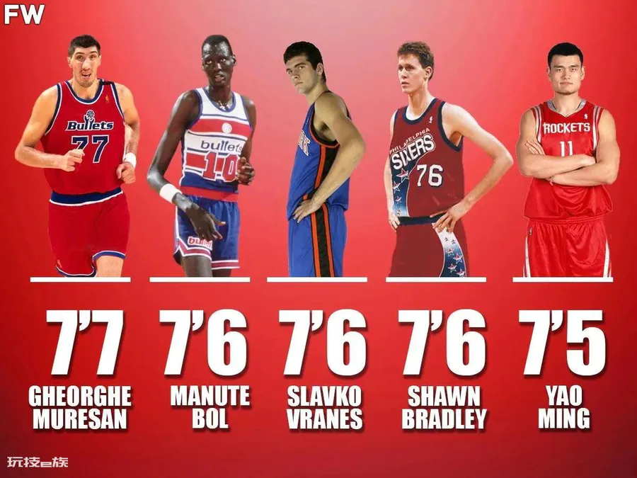 nba最高球员有多高(NBA历史上最高的14名球员)-图片1