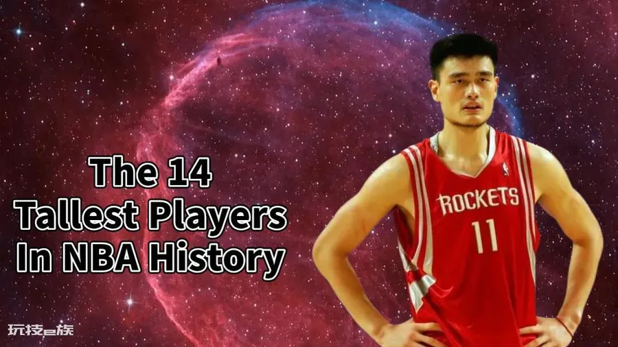 nba最高球员有多高(NBA历史上最高的14名球员)-图片11
