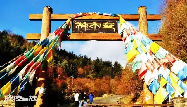 神木垒海拔最高多少米(四川宝兴北部神木垒海拔3000米)-图片2