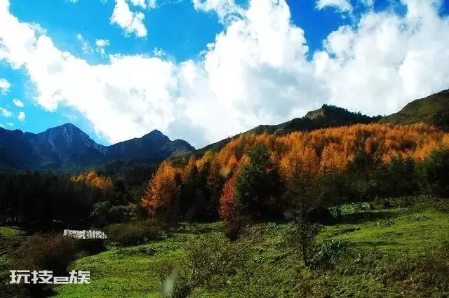 神木垒海拔最高多少米(四川宝兴北部神木垒海拔3000米)-图片10
