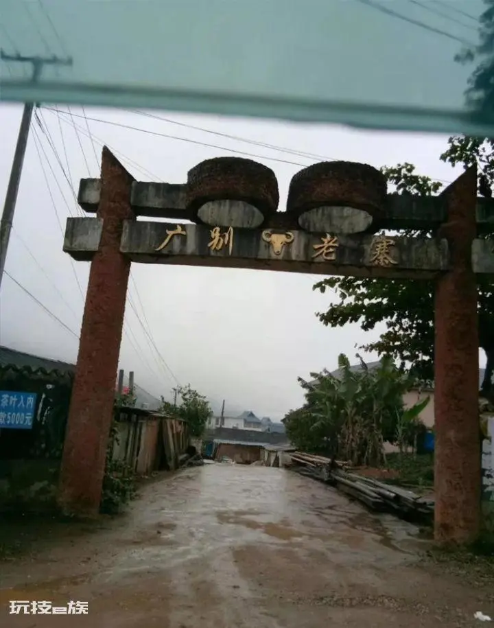 广别老寨古树茶口感特点与口感(为什么被称为“妖茶”)-图片1
