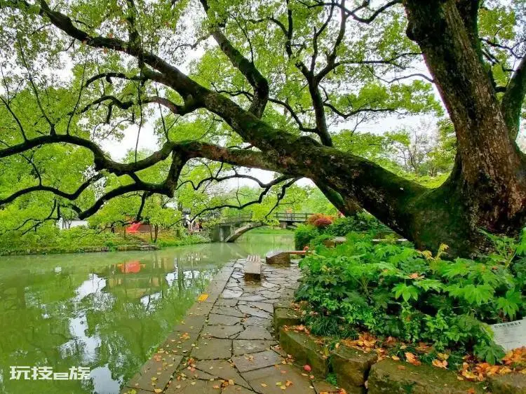 南充一日游必到景点(四川南充值得推荐的十大旅游景点)-图片8