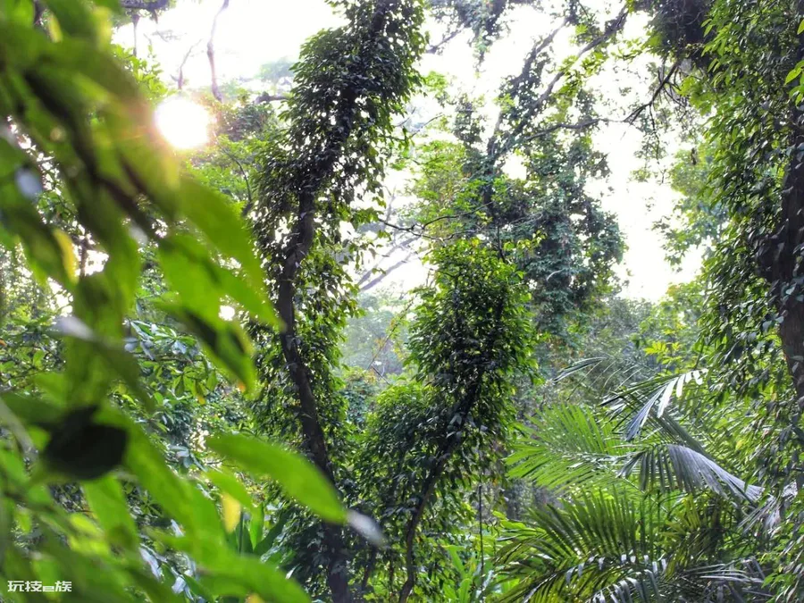 广州网红打卡景点大全排名榜(广州游玩攻略必去的地方)-图片6