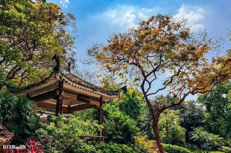 广州网红打卡景点大全排名榜(广州游玩攻略必去的地方)-图片25
