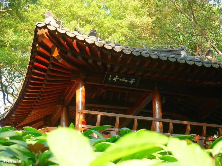 广州网红打卡景点大全排名榜(广州游玩攻略必去的地方)-图片26
