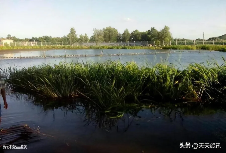 锦州旅游景点有哪些地方推荐(辽宁锦州八景是哪八景一览)-图片6