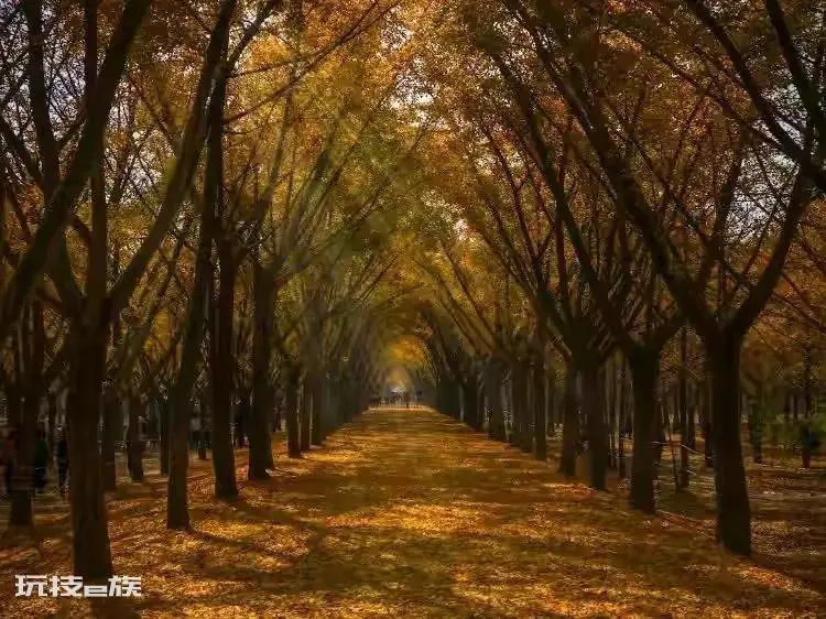 徐州旅游景点推荐(江苏徐州十二大著名旅游景点介绍)-图片10